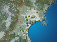 �ܾ븩�����ʬ��