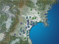 �ܾ븩�����ʬ��