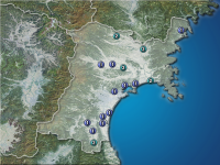 �ܾ븩�����ʬ��