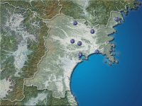 �ܾ븩�����ʬ��