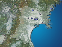 �ܾ븩�����ʬ��