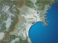 �ܾ븩�����ʬ��