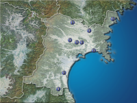 �ܾ븩�����ʬ��