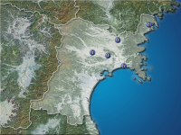 �ܾ븩�����ʬ��