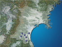 �ܾ븩�����ʬ��