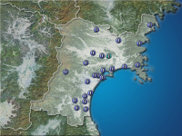 �ܾ븩�����ʬ��