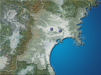 �ܾ븩�����ʬ��