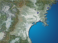 �ܾ븩�����ʬ��