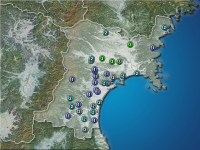 �ܾ븩�����ʬ��