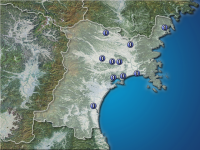 �ܾ븩�����ʬ��