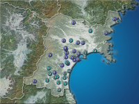 �ܾ븩�����ʬ��