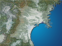 �ܾ븩�����ʬ��