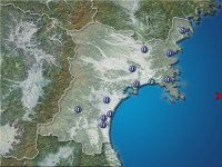 �ܾ븩�����ʬ��