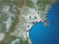 �ܾ븩�����ʬ��