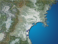 �ܾ븩�����ʬ��