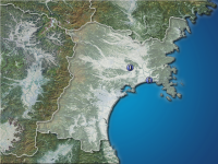 �ܾ븩�����ʬ��