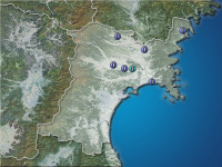 �ܾ븩�����ʬ��