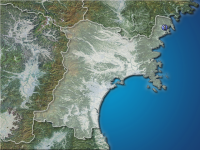 �ܾ븩�����ʬ��