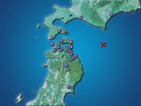 �������ʬ��