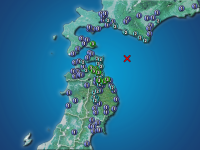 �������ʬ��