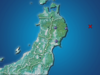 �������ʬ��