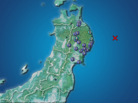 �������ʬ��