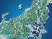 �������ʬ��