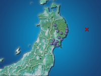 �������ʬ��