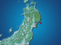 �������ʬ��