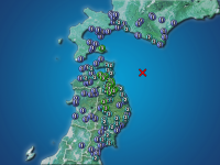 �������ʬ��