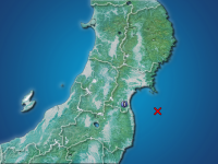 �������ʬ��