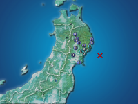 �������ʬ��