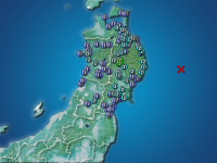 �������ʬ��