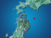 �������ʬ��