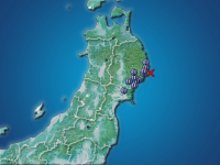 �������ʬ��