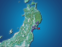 �������ʬ��