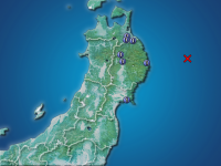 �������ʬ��