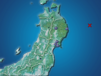 �������ʬ��