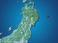 �������ʬ��