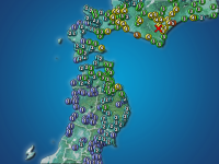 �������ʬ��